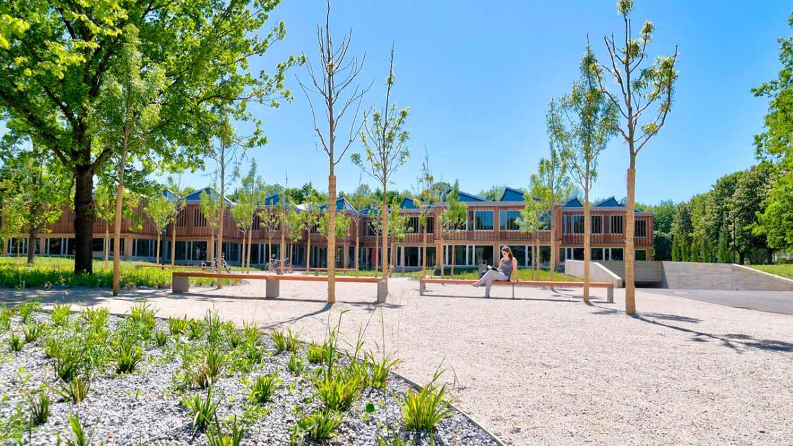 Heller Schotterplatz mit einigen jungen Bäumen und Sitzgelegenheiten. Im Hintergrund ist eine Reihe von modernen Gebäuden mit Holzvertäfelung zu sehen.